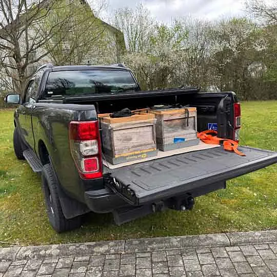 Bienen Hagen Bienenstöcke werden Geliefert