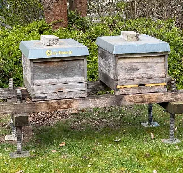 Bienenstöcke Hagen